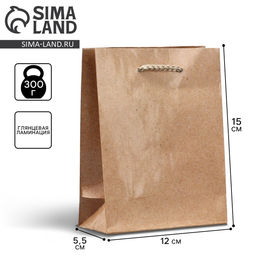 Цена за 2 шт. Пакет подарочный ламинированный, упаковка, «Крафт», S 12 х 15 х 5.5 см