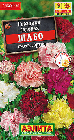 Гвоздика садовая Шабо, смесь сортов