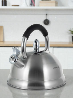 Чайник 2,7л из нержавеющей стали со свистком и ручкой soft touch (1097) /KAMILLE/