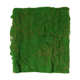 Мох искусственный, декоративный, полотно 1×1 м, цвет мох, Greengo
