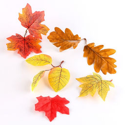 Набор для творчества Материалы для осенних поделок. Листья, шишки - Школа талантов фото 4