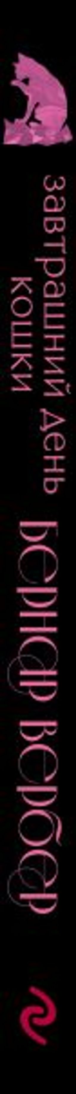 Завтрашний день кошки