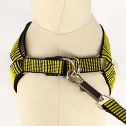 Комплект амуниции рельефный, поводок 120 х 2 см, ОГ 44-50 см, жёлто-чёрный - Пижон фото 4