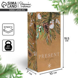 Цена за 10 шт. Пакет подарочный без ручек новогодний Present for you, 10×19×7 см