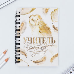 Подарочный набор, блокнот А6, 60 л., магнитные закладки, ручка «Учитель»