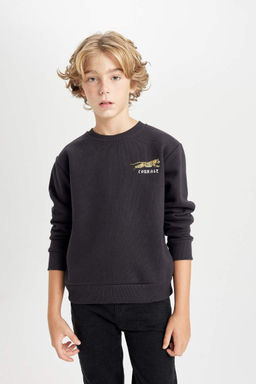 Толстый свитшот с принтом для мальчиков с круглым вырезом - Defacto фото 3