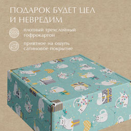VAL PC-BC-GBk Подарочные коробки - 3шт.: 13*10*4,5, 23*14*7,5, 26*26,5*10см. PARTY CATS, шт - Valiant фото 17