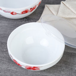 Салатник с крышкой 2 предмета / SW2A (6755) /уп 18/ Орхидея на ветке - ГалеонТрейд фото 3