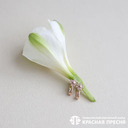 СЕРЬГИ 3289002 - Красная пресня фото 3