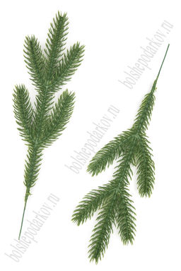 Веточка еловая 27 см (10 шт) SF-8017, зеленый №1