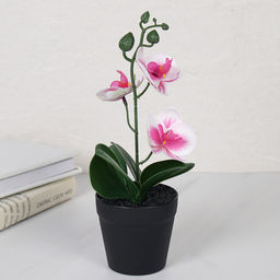 Цветочная композиция Орхидея 27 см / ZH-010 /уп 10/120/ - Галеонтрейд фото 6