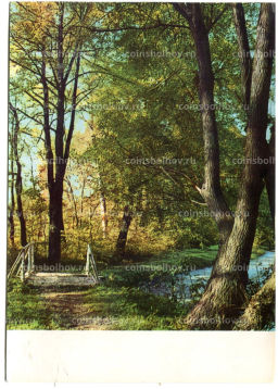 Открытка Музей-усадьба Ясная Поляна. Уголок нижнего парка