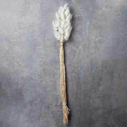 Сухоцвет 60 штук набор 68 см Лагурус / SG-005 /уп 300/белый - Галеонтрейд фото 2