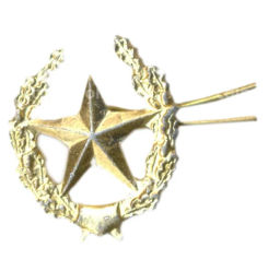 Значок эмблема петличная Звезда
