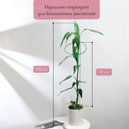 Цена за 5 шт. Кустодержатель для цветов, d=30 см, h=70 см, ножка d=0.3 см, металл, зелёный, Greengo