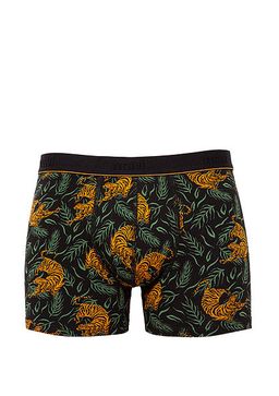 Kaplan Bask?l? Boxer