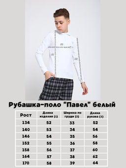 Рубашка-поло "Павел" белый