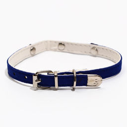 Ошейник бархатистый с сердечками, 32 х 1 см, ОШ 23-29, текстиль и кожзам, синий - Пижон фото 2