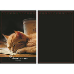 Цена за 3 шт. Блокнот А5, 40 листов в клетку на гребне «Соня», обложка мелованный картон, матовая ламинация, выборочный УФ-лак, блок офсет