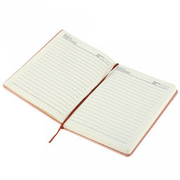 Ежедневник недатированный 14,2х21см "Одуванчик" 112 листов, в линейку, сшитый внутренний блок, с закладкой, обложка кожзам, отделочная строчка, тиснение золотом, цвет розовый перламутр (Китай)