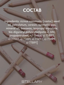 Stellary Карандаш для губ тон 14 burgundy  фото 8