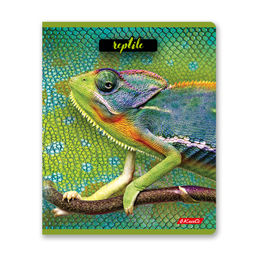 Светоч 80ТСК5_8_2_1 Тетрадь ученическая общая, твин лак, A5 80 л. на скобе 65 г/кв.м , белизна 100 % 5 шт. клетка 000487 Рептилии  фото 5