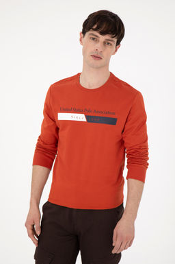 Мужской свитшот с плиткой Неожиданная скидка в корзине - U.s. polo assn фото 3