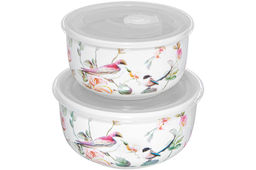 Набор 2 салатников 1 л 16*16*8 см + 500 мл 13,5*13,5*7 см Певчие птички с крышками, NEW BONE CHINA
