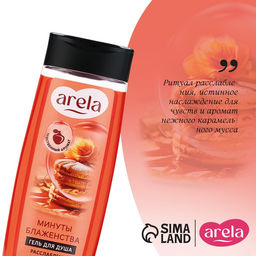 Цена за 3 шт. Гель для душа женский «Минуты блаженства», 250 мл, аромат карамельного мусса, ARELA