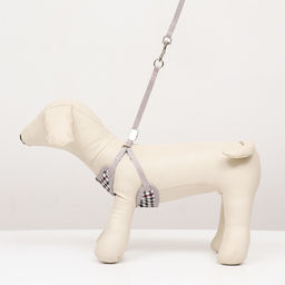 Комплект амуниции с мягкой шлейкой, поводок 120 х 1 см, ОГ 34-58 см, синяя клетка - Пижон фото 7