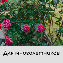 Чехол для укрытия растений, металлический каркас, 100×65 см, спанбонд с УФ-стабилизатором, плотность 60 г/м²