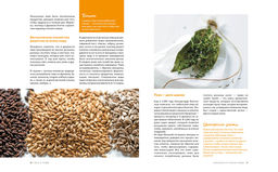 Beer Expert: Пиво. Идеальный путеводитель по сортам, видам, рецептам. Гезий К. - Колибри фото 5