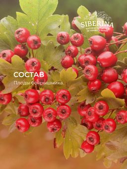 Боярышник (плоды) для укрепления сердечно-сосудистой системы - Siberina фото 9