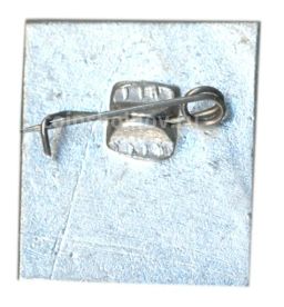 Значок Саратов