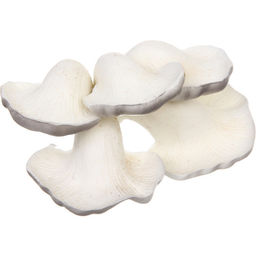 Фигура садовая "Вешенки" 10*14 см, серый