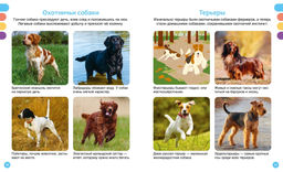 Любимые питомцы. Рени П. - Махаон фото 5