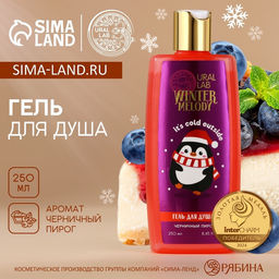 Winter Melody, гель для душа, 250 мл, черничный пирог - URAL LAB фото 4
