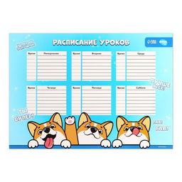 Цена за 10 шт. Расписание уроков Корги Джекки А3 - Школа талантов фото 2