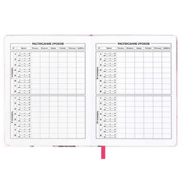 Дневник школьный арт. 68717 / 15 МИШКА В ШАПОЧКЕ