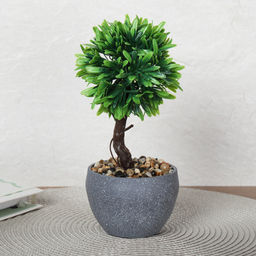 Цветочная композиция Зелень самшит 22 см / 9090-11 /уп 12/72/ - Галеонтрейд фото 8