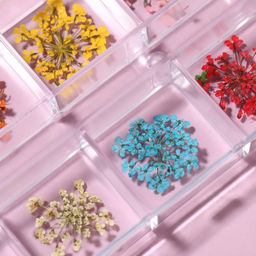 Сухоцветы для декора, 12 видов, в футляре, разноцветные - Qf фото 3