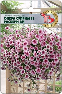 Петуния каскадная Опера Суприм F1 Парпл Вейн