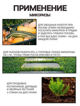 Микориза на вермикулите Рецепты Дедушки Никиты, 250 мл фото 6