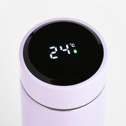 Термос Ты можешь всё, 500 мл, с ситечком, с датчиком температуры