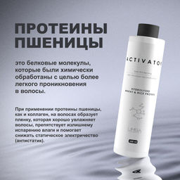 Limba Cosmetics Активатор Activator Hydrolyzed Wheat&Rice Protein, 250 мл(lmb17)