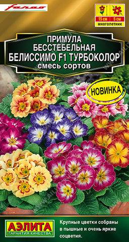 1766A Примула Белиссимо F1 турбоколор, смесь сортов 5шт