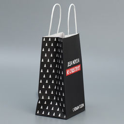 Пакет подарочный крафтовый Деда Мороза нет, 12 21 9 см - Дарите счастье фото 2