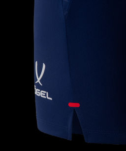 Шорты тренировочные JOGEL NATIONAL PerFormDRY Training Shorts, темно-синий  фото 10