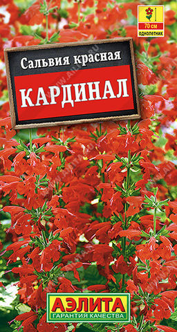 1784A Сальвия Кардинал 0,1гр