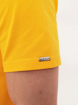Джемпер мужской с воротником поло короткий рукав GREG G144-PO124T-CTP2023 (желтый)  фото 3